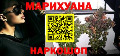 сатива Беслан
